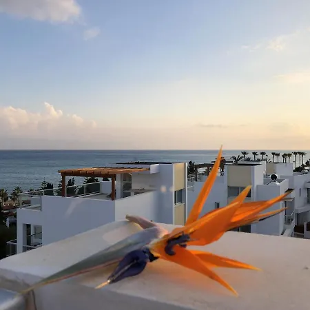 Villa Elegant In With Sea View And Private Pool Peyia